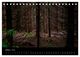 Thumbnail-12