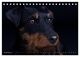 Thumbnail-14