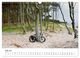 Thumbnail-12