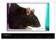 Thumbnail-14
