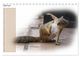 Thumbnail-11