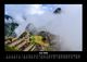 Thumbnail-10
