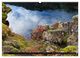 Thumbnail-12