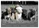 Thumbnail-10