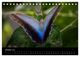 Thumbnail-12