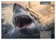 Thumbnail-10