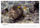 Thumbnail-14
