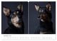Thumbnail-11
