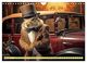 Thumbnail-8