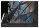 Thumbnail-13