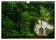 Thumbnail-12