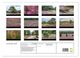 Thumbnail-10