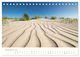 Thumbnail-14