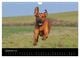 Thumbnail-11