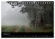 Thumbnail-12