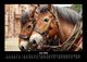 Thumbnail-10