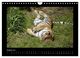 Thumbnail-10