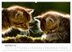 Thumbnail-11