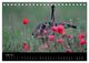 Thumbnail-11