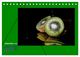 Thumbnail-14