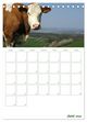 Thumbnail-11