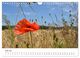 Thumbnail-12