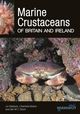 Thumbnail-0