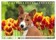 Thumbnail-8