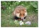 Thumbnail-12