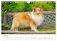 Thumbnail-9