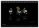 Thumbnail-11