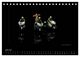 Thumbnail-8