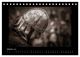 Thumbnail-12
