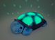 Thumbnail-3