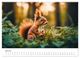 Thumbnail-8