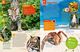 Thumbnail-12