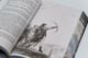 Thumbnail-8