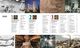 Thumbnail-2