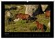 Thumbnail-8