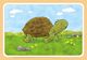 Thumbnail-3