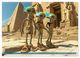 Thumbnail-11
