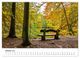 Thumbnail-11