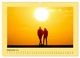 Thumbnail-10
