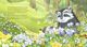 Thumbnail-9
