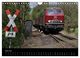 Thumbnail-11