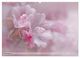Thumbnail-10