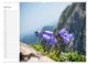 Thumbnail-10