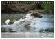 Thumbnail-9