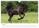 Thumbnail-9