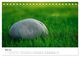 Thumbnail-10